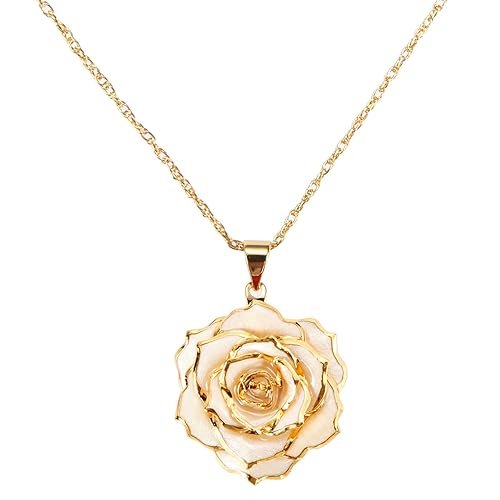 I just received AliveRose Real Rose Gold Dipped Necklace Gifts for Women, 24K Gold Dipped Rose Pendant Necklace Jewelry Mothers Day Anniversaries Birthday Christmas Special Occasions Gifts for from evyen via Throne. Thank you! throne.com/kittykayttv #Wishlist #Throne