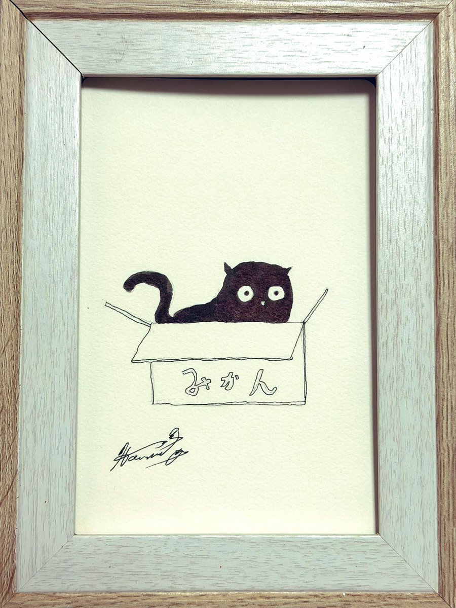 はこにゃん 描いたん😄 庭に来る猫が箱に入ってて今日も平和である