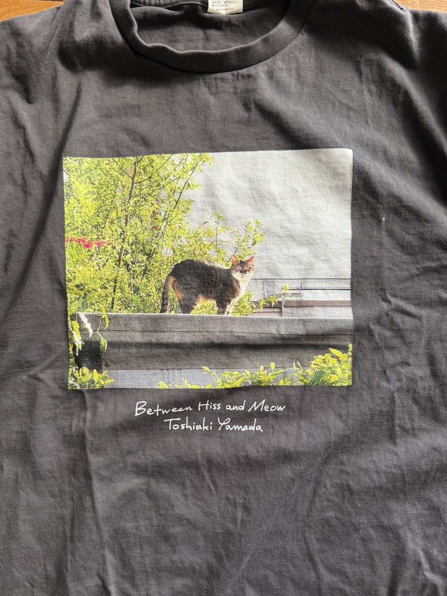 赤猫 杏 (@akanekoanzu) / Posts / X