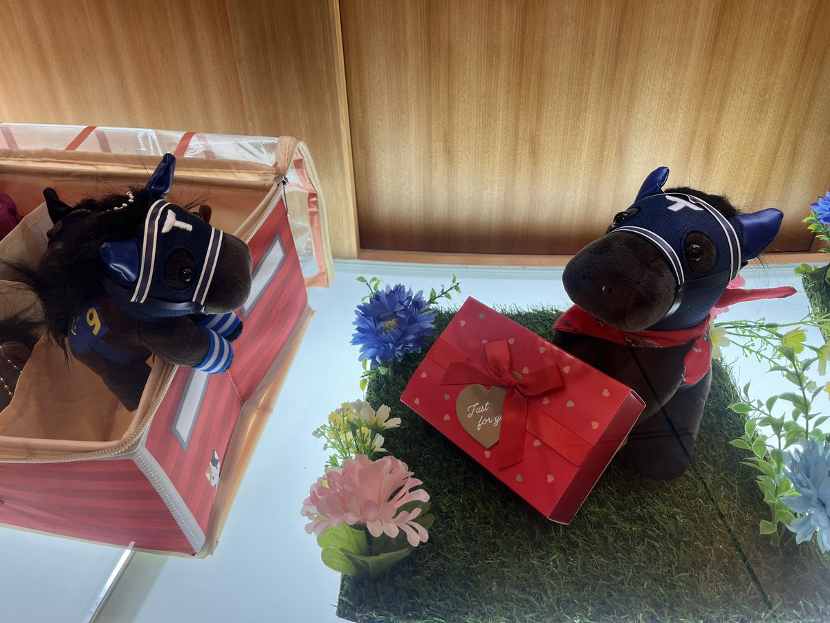 たまこ (@egg24k) / Posts / X