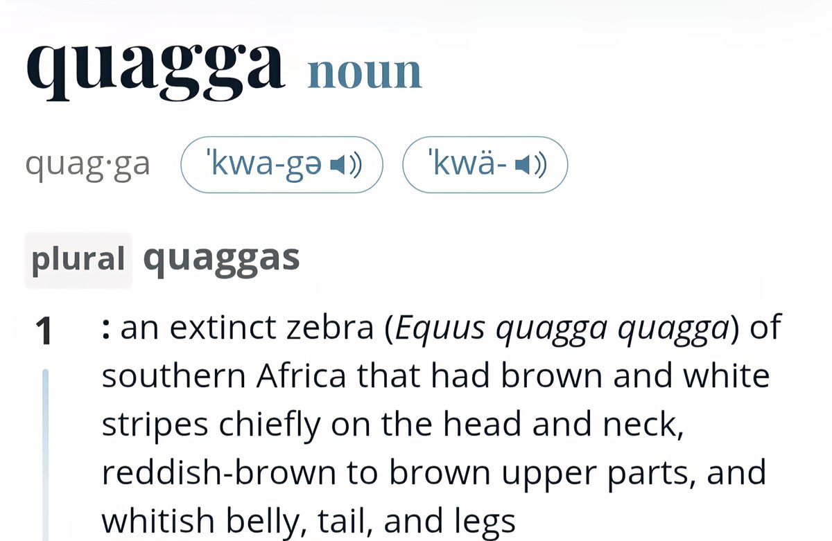 From now on, I will be referring to everyone as my quagga