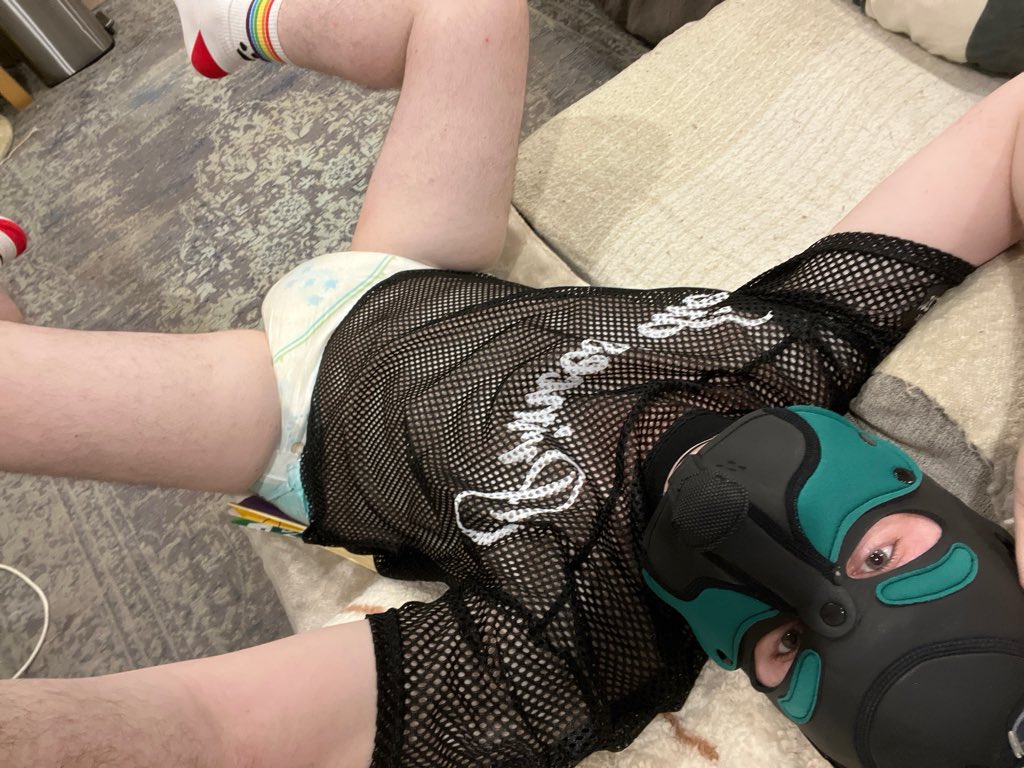 Bumblepee 🐝 tweet media