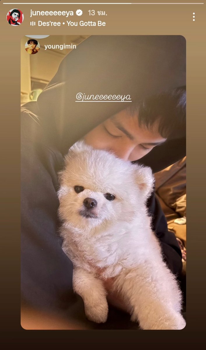 เจ้าหมากับน้องหมา🥰น่ารักจังเลยคับ