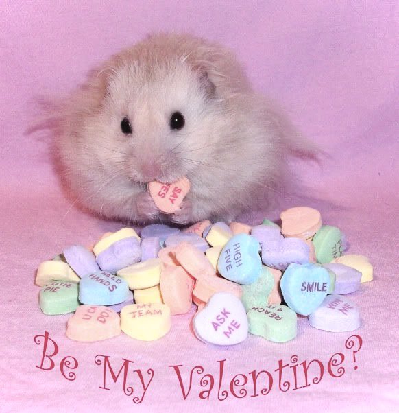 kas ໒꒰ྀིっ˕ -｡꒱ྀི১ ᶻ 𝗓 𐰁 (@syrapheana) on Twitter photo 