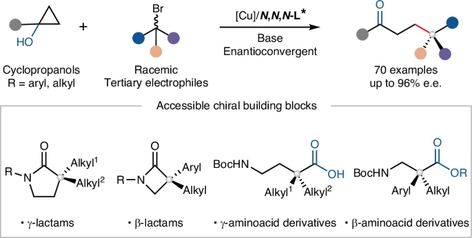🎯 Cu-catalyzed enantioconvergent radical coupling of strained cyclopropanols with tertiary electrophiles forges quaternary stereocenters, exploiting ring-strain release to access 3D-rich chiral scaffolds 💥
<a href="/NatureSynthesis/">Nature Synthesis</a> 
rdcu.be/e3WMb