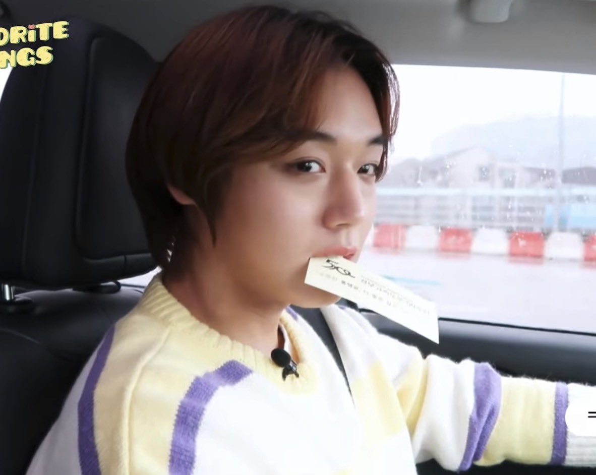 ? 종이 물고다니는 강아디