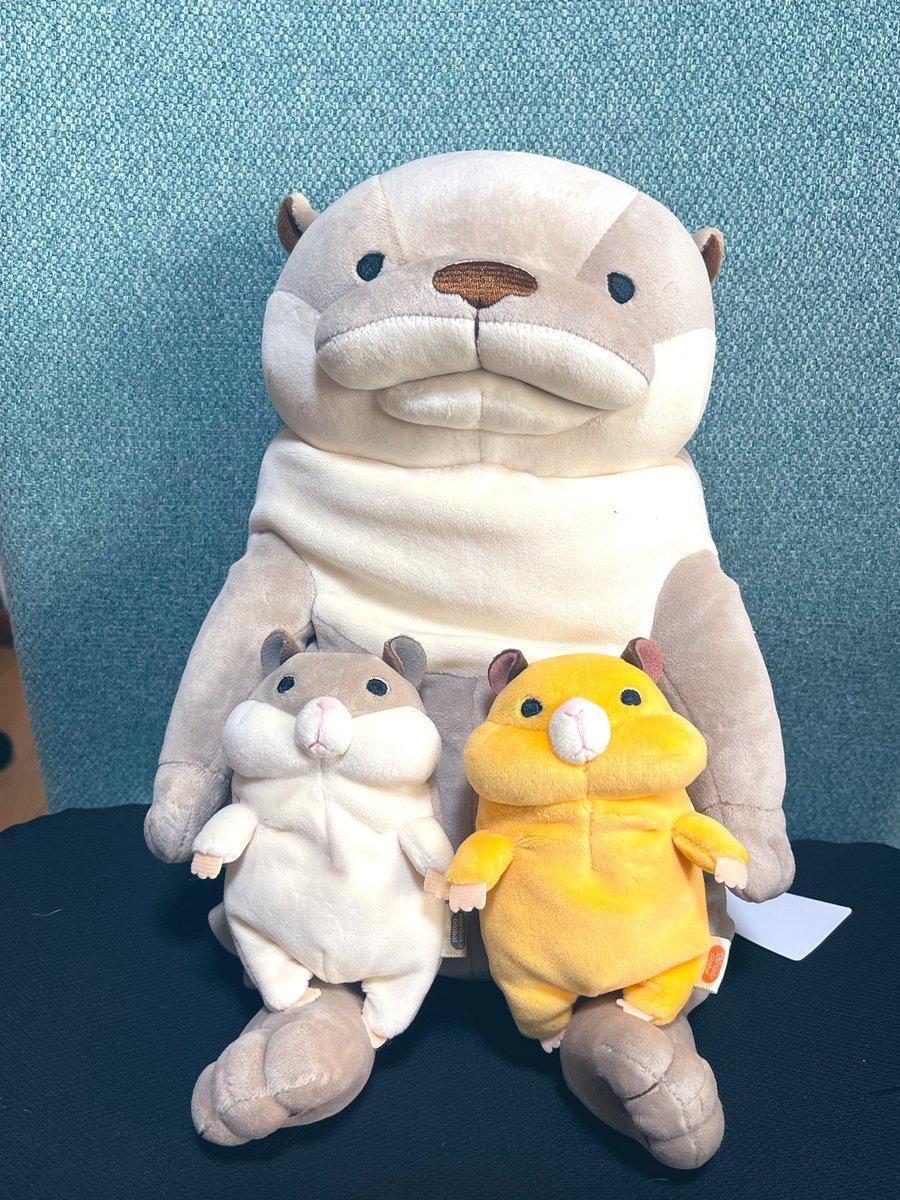 Mizuki214's tweet photo. もちシリーズ最高なのね…(ง ᵕωᵕ)ว🎶 https://t.co/nQnaqfotig