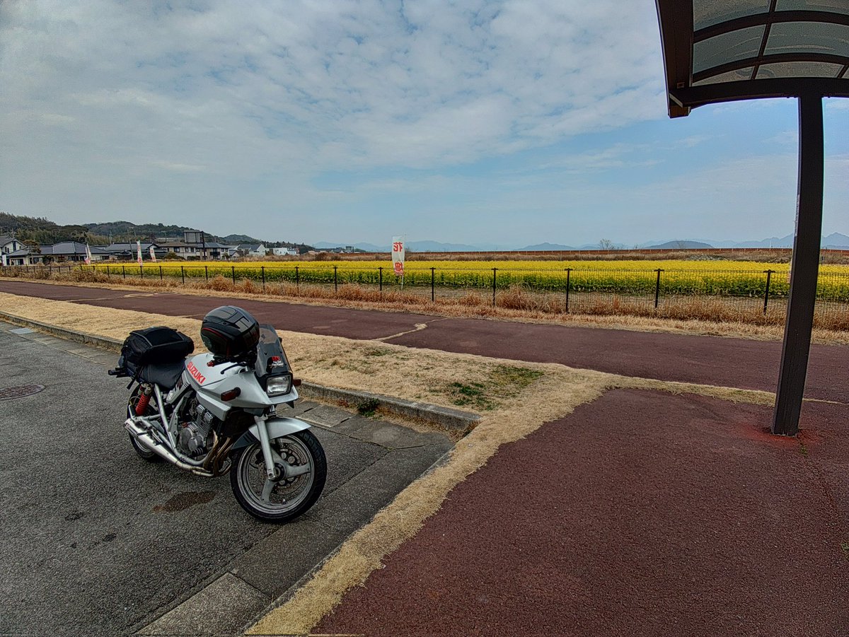 tkks1114's tweet photo. やっと乗れました
引っ越しやらなんやらで忙しすぎてやっとです
このコースを走ると山口に帰って来たって感じです
気温もだいぶ上がって来てこれからええ季節ですね https://t.co/ZkciLzpHCI