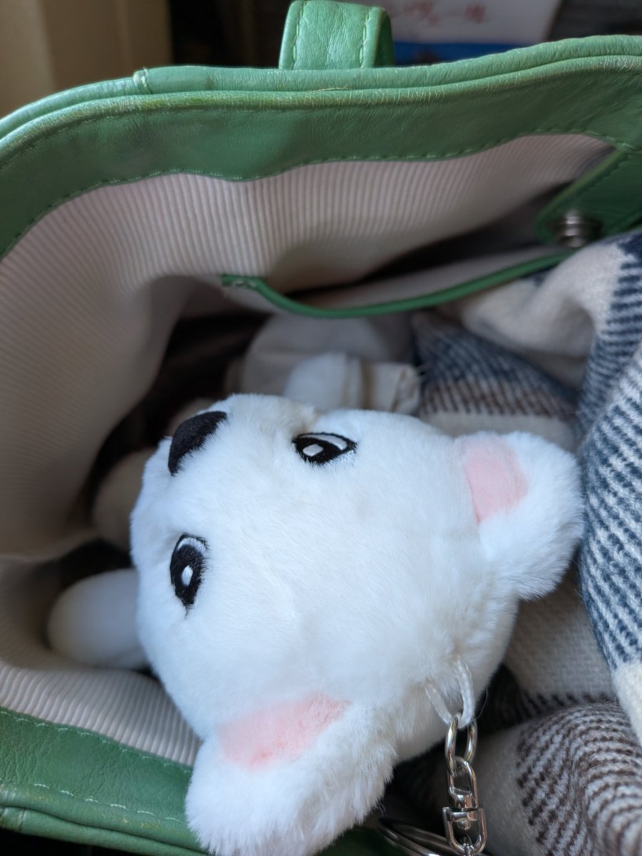 今日の相棒。こっそりでごめん。