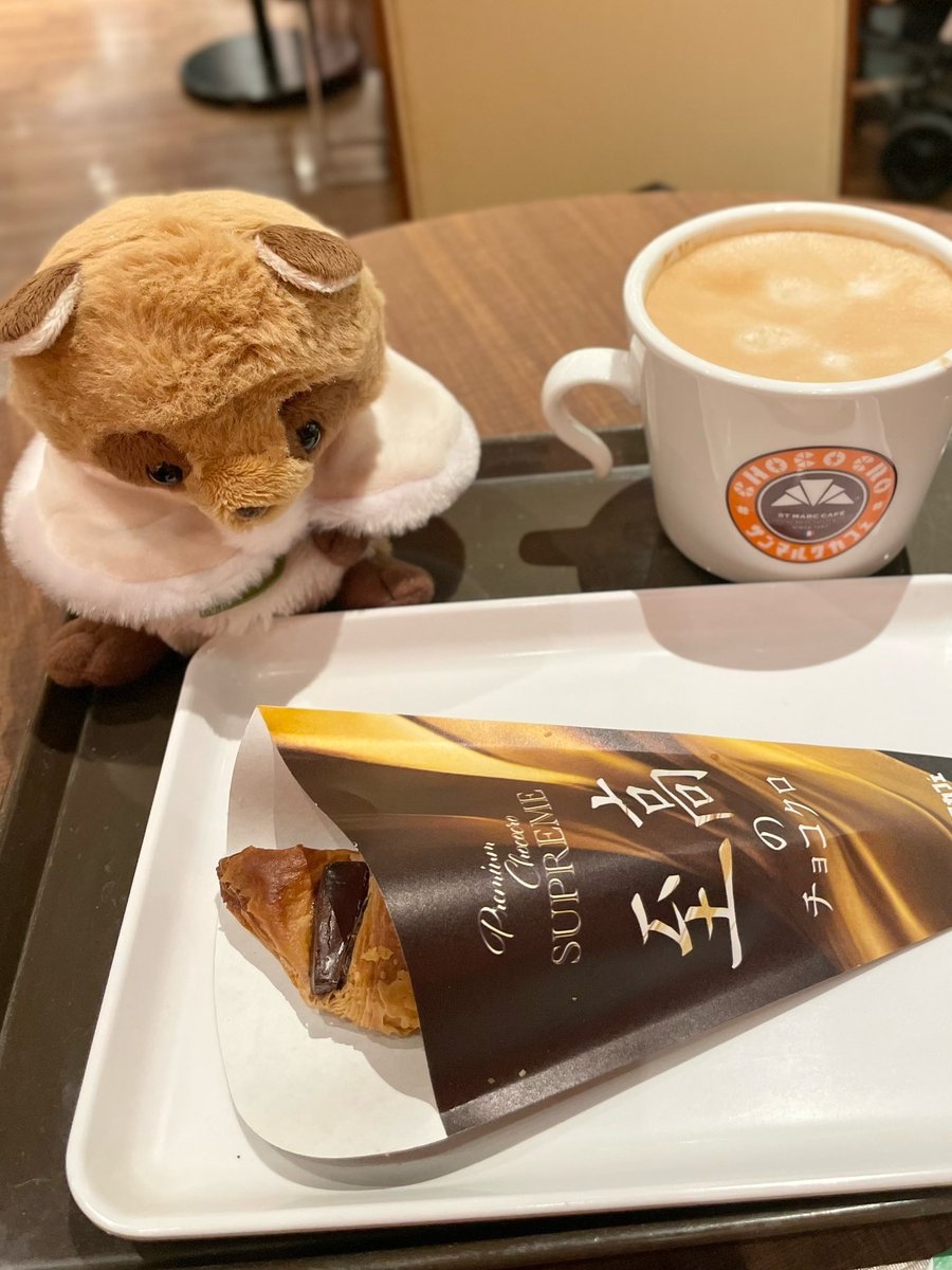 たぬきさん、今日はバレンタインだね💝
サンマルクの至高のチョコクロ、どうかな？
幻のカカオが入ってるんだって✨️
美味しそうだね⟡.·