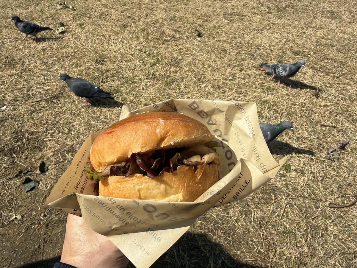 焼肉サンドと焼肉バーガー
めっちゃ美味かった😆

ハトに狙われてる🤣

#コブクロ　#九月八日