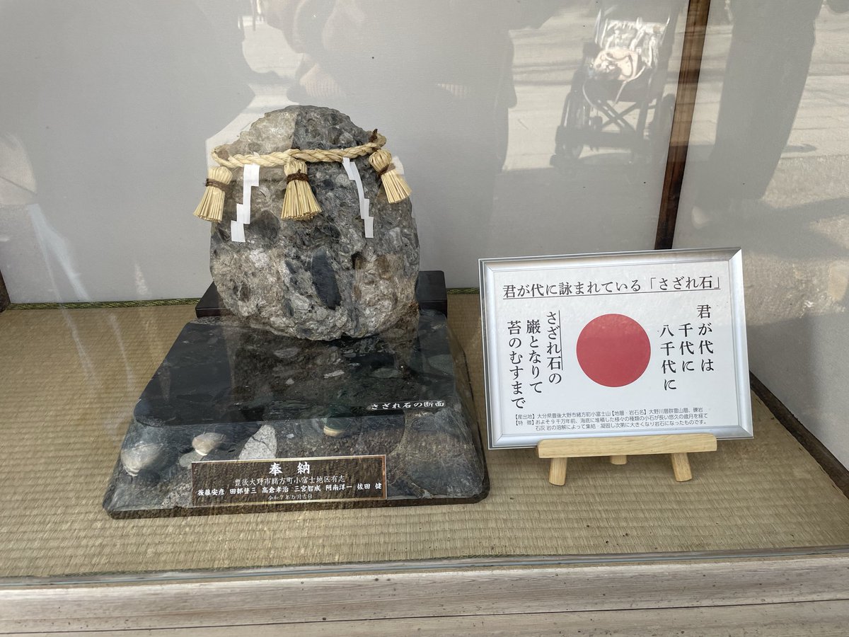 関芝 tweet media