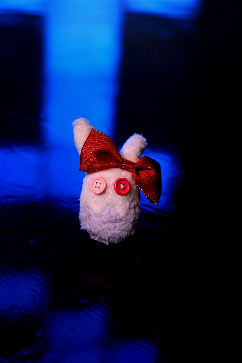 おまめ景丸 tweet media