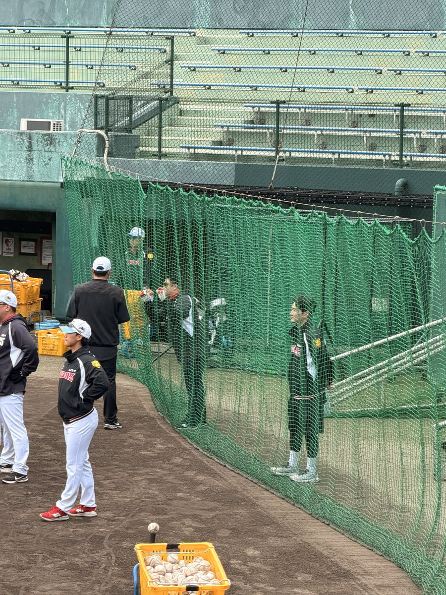 이분 라이브피칭 할 때마다 코치처럼 관람하심