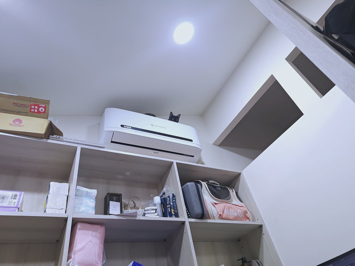 啊嗚啊嗚 tweet media