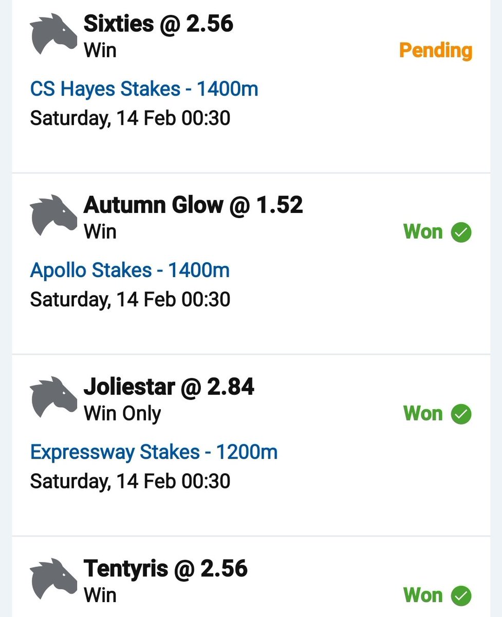 J.T. 🐴 tweet media