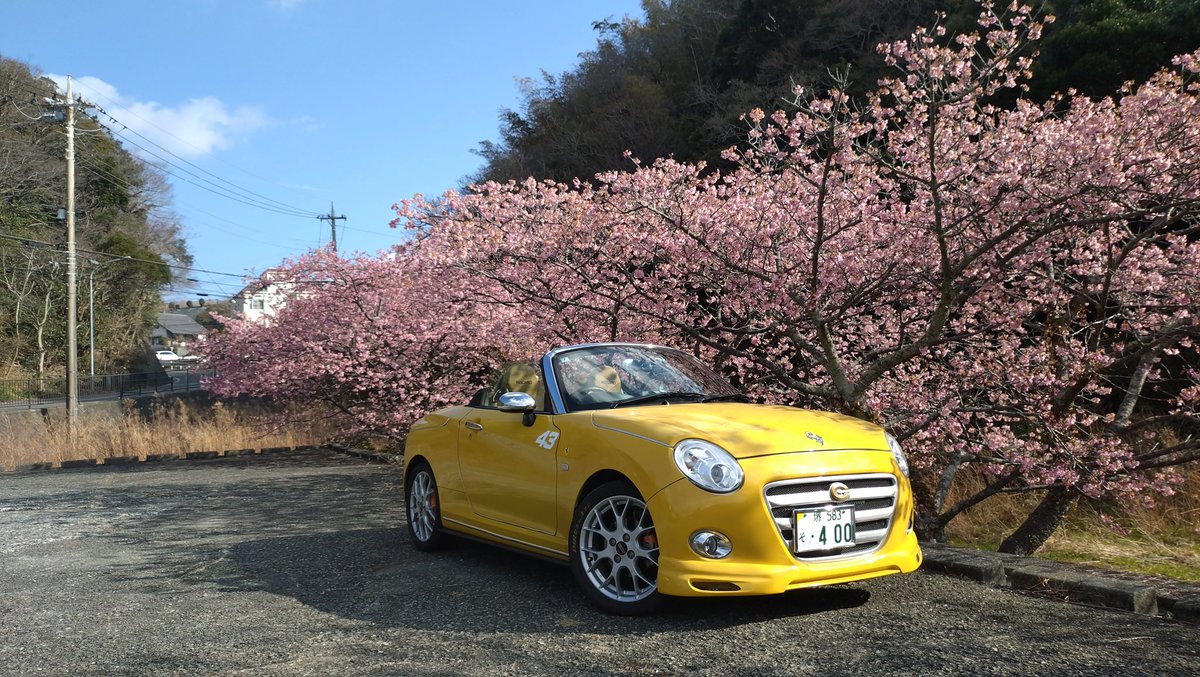 久々の写活🌸