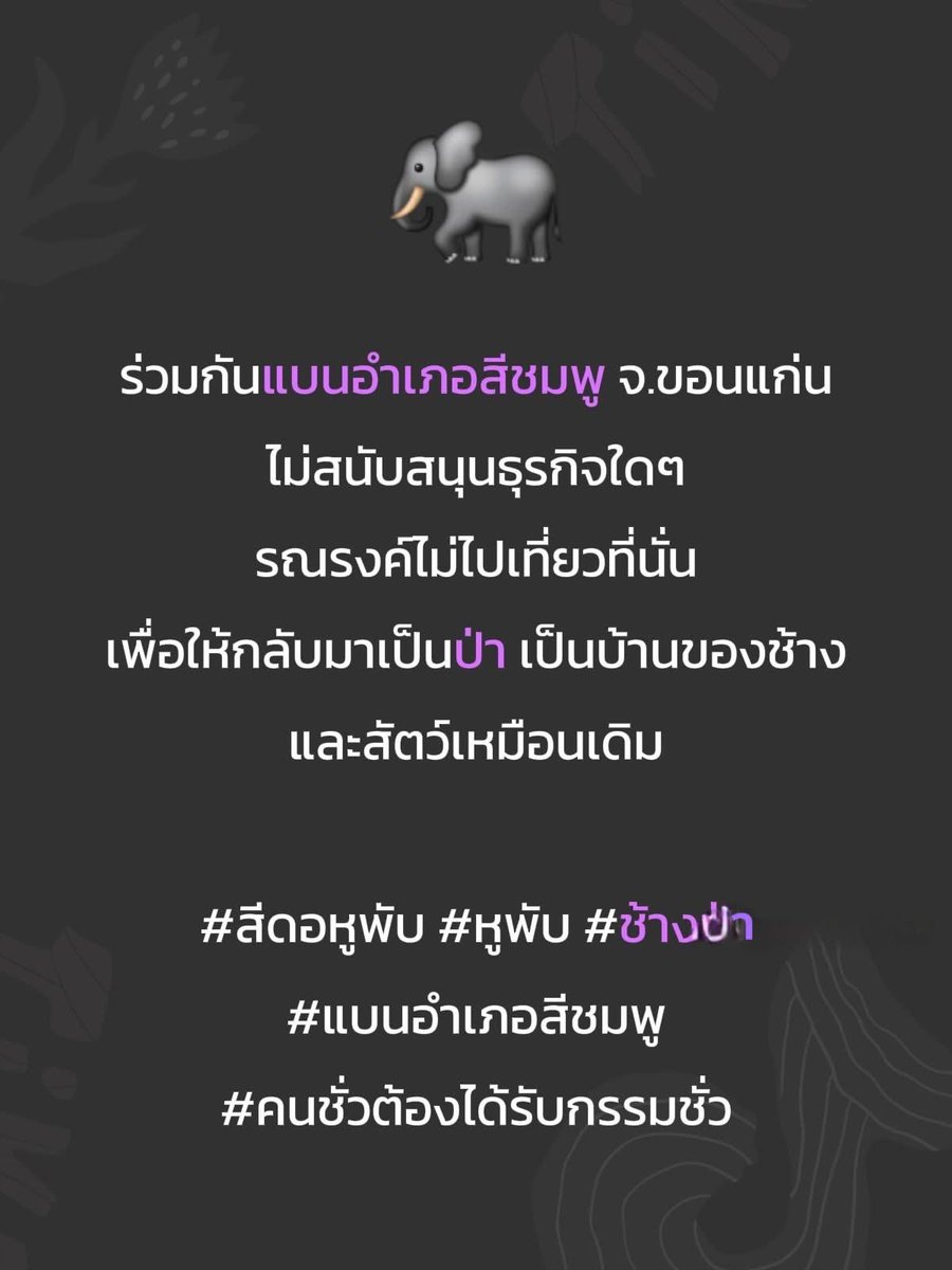 Nuchzii tweet media