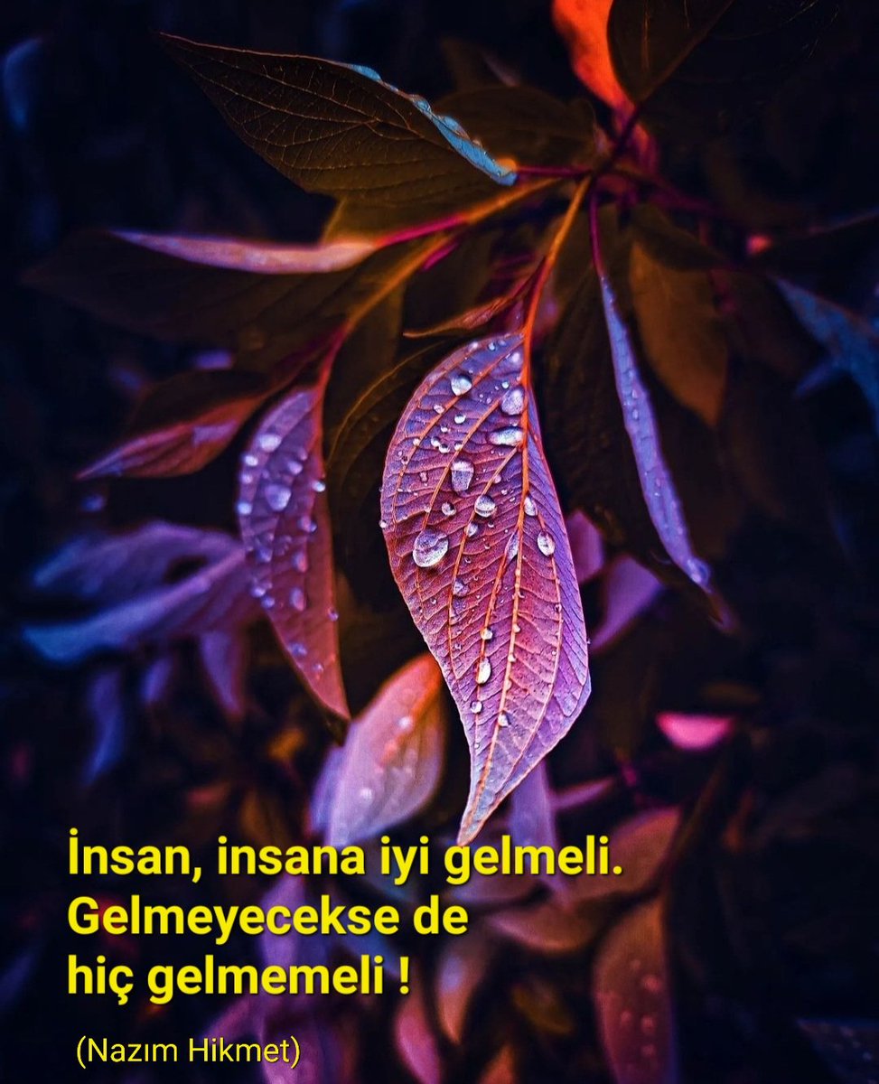 İnsan, insana iyi gelmeli.