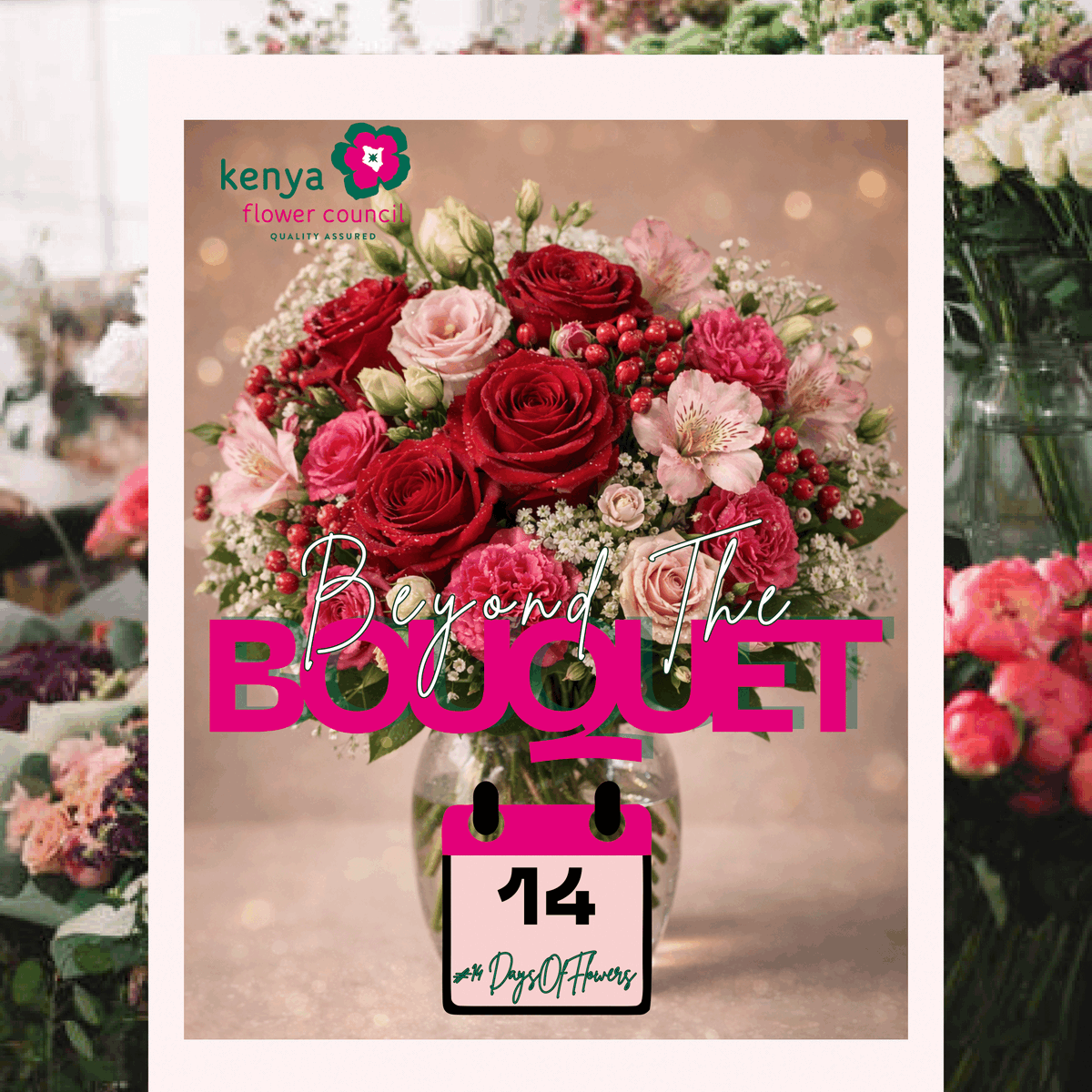 kenyaflower's tweet photo. Before it’s wrapped, held, or gifted 🌹… every flower has lived a long story.

💐Happy Valentine's Day💐
#BeyondTheBouquet #14DaysOfFlowers #KnowYourFlowers #SustainablyGrownLocallyCertified #Valentines https://t.co/2EW6Drllgd