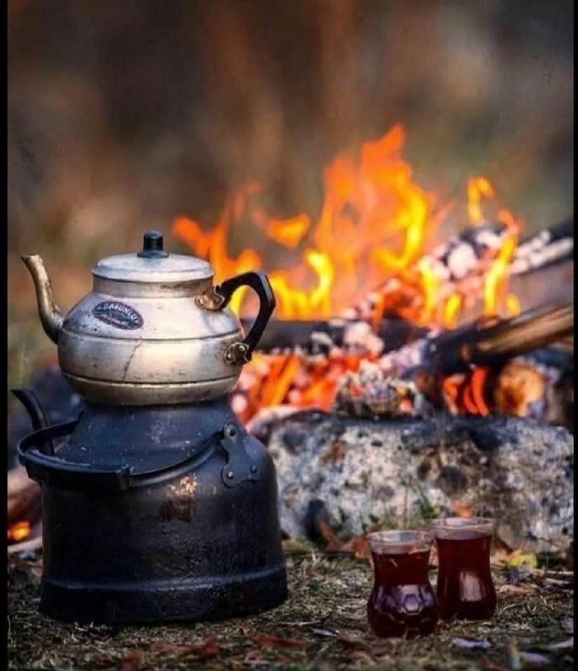 Günaydın dostlar 🤗🍁