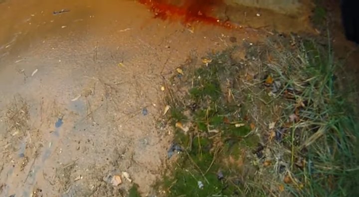 Marble H⦻rnet frames tweet media