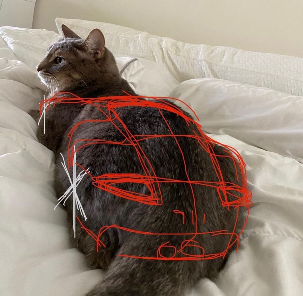 meme.jpg (@meme__jpg) on Twitter photo 