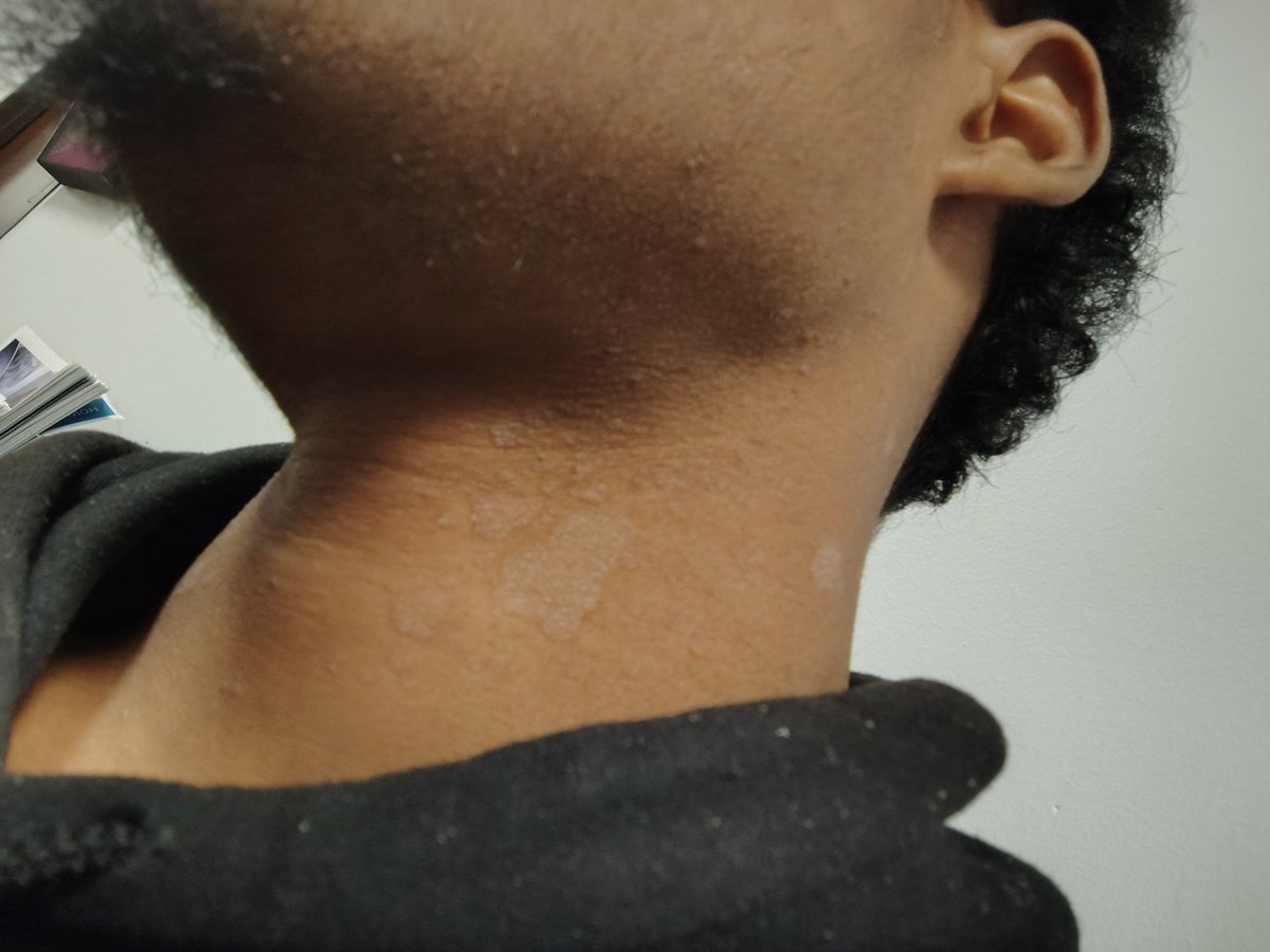 TDauntless41 tweet media