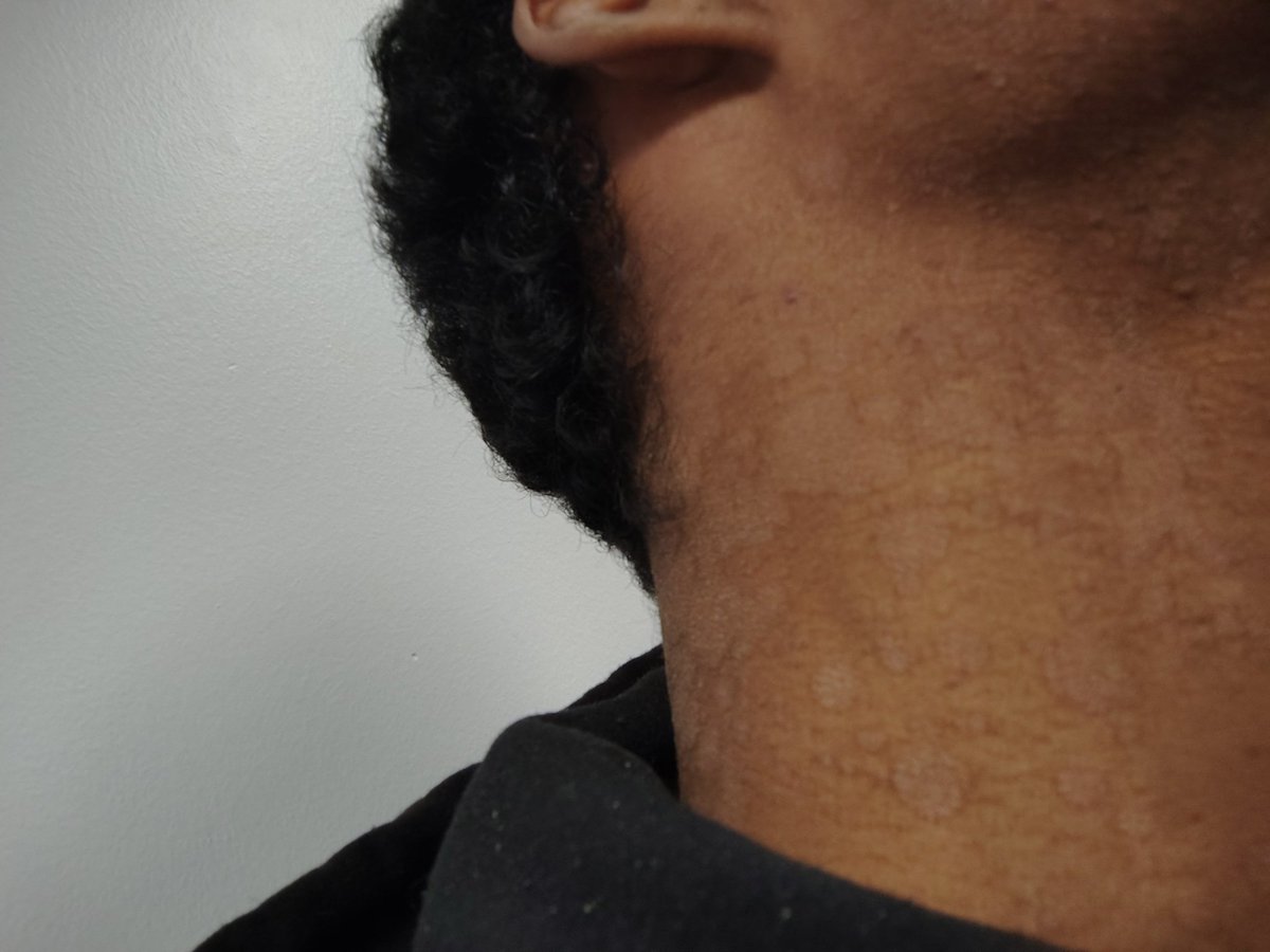 TDauntless41 tweet media