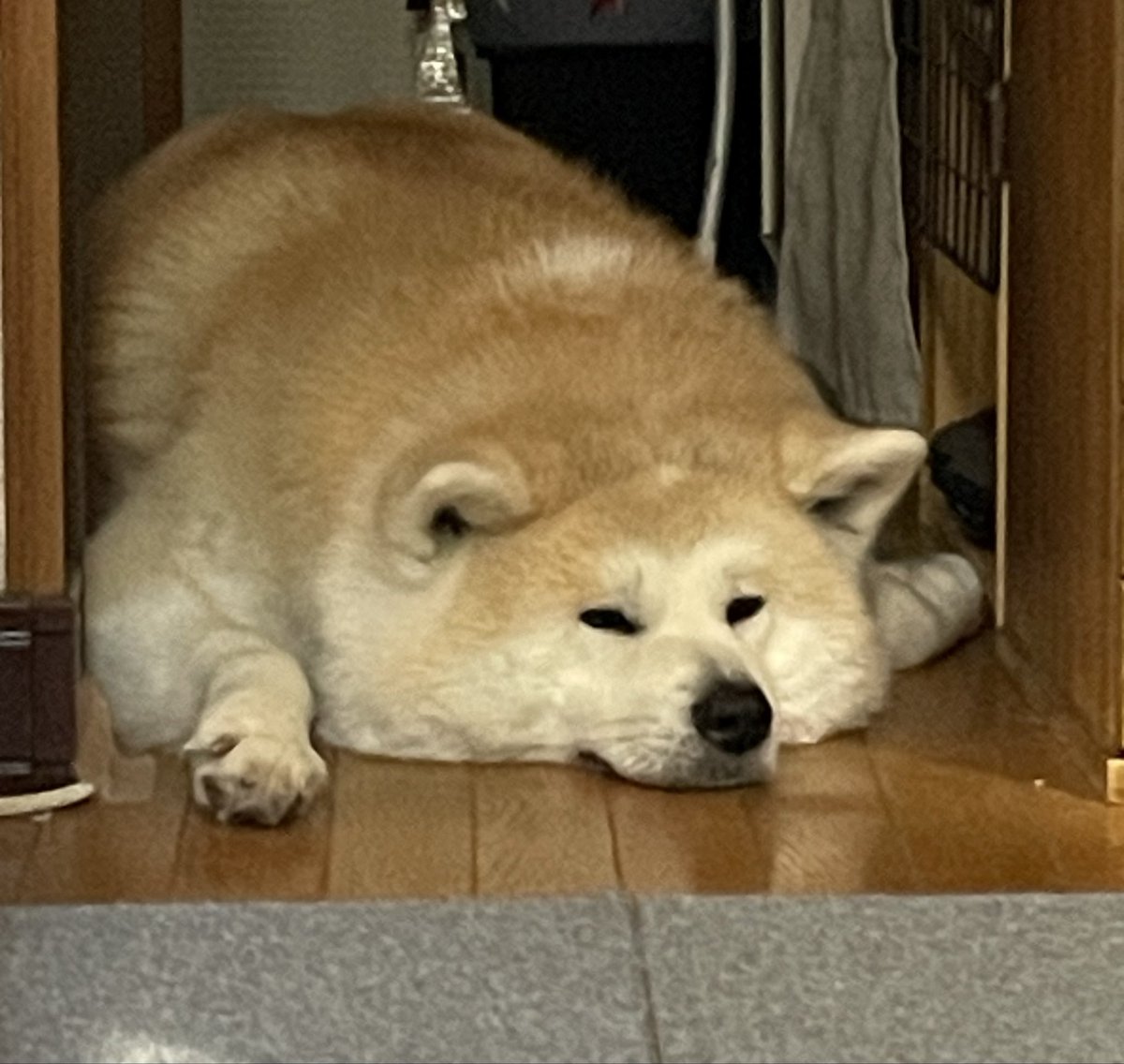 ْ (@65907_30_4) / Posts / X