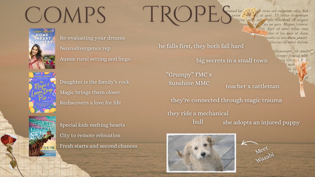 Dani - reader, writer tweet media