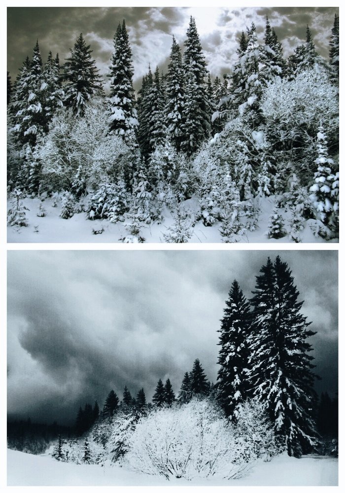 У нас хмурняк и периодически валит снег, -5 всего. Завалены мы уже основательно. Чтобы не видеть эти сугробы в посёлке, - встал на лыжи и в лесок, там всё к одному. 
Доброе утро, друзья, хороших выходных! 😉✌✊