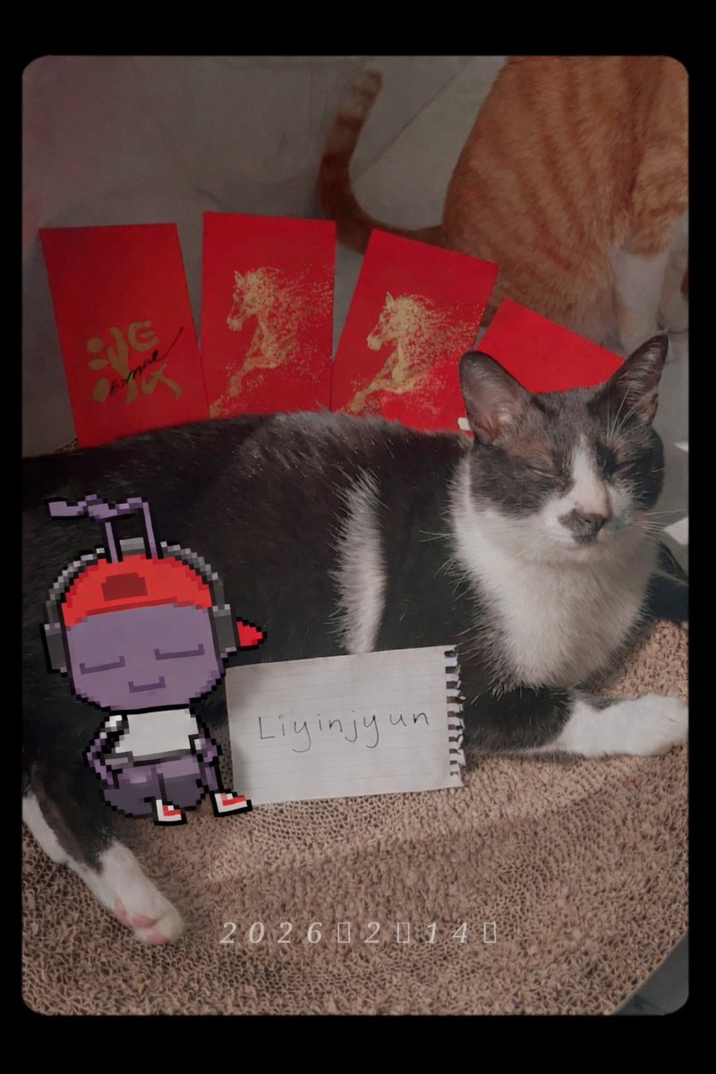 羊咩咩🐑.m🐜 ∞ KIN｜MemeMax⚡️ tweet media