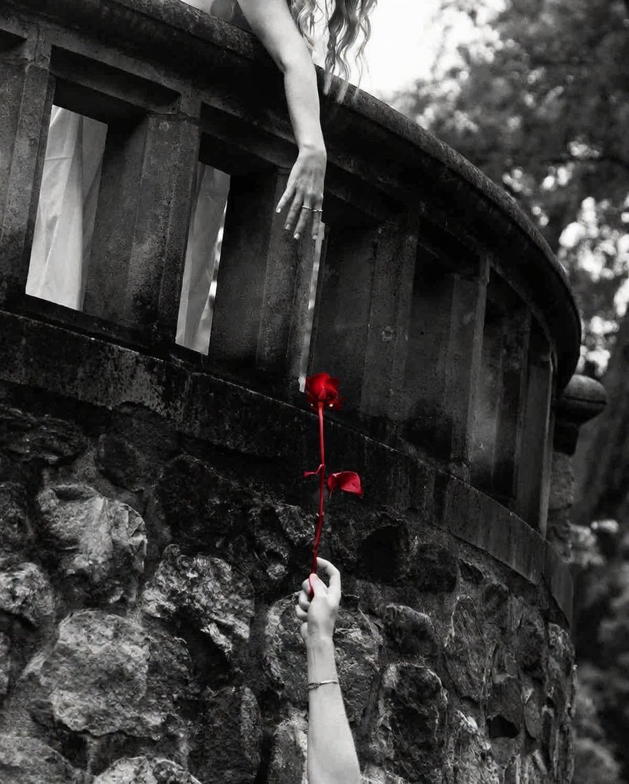 Solitario tweet media