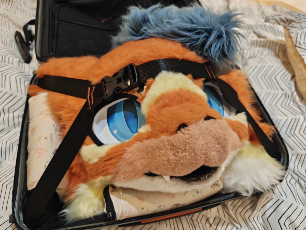 Kaisun (Sean) tweet media