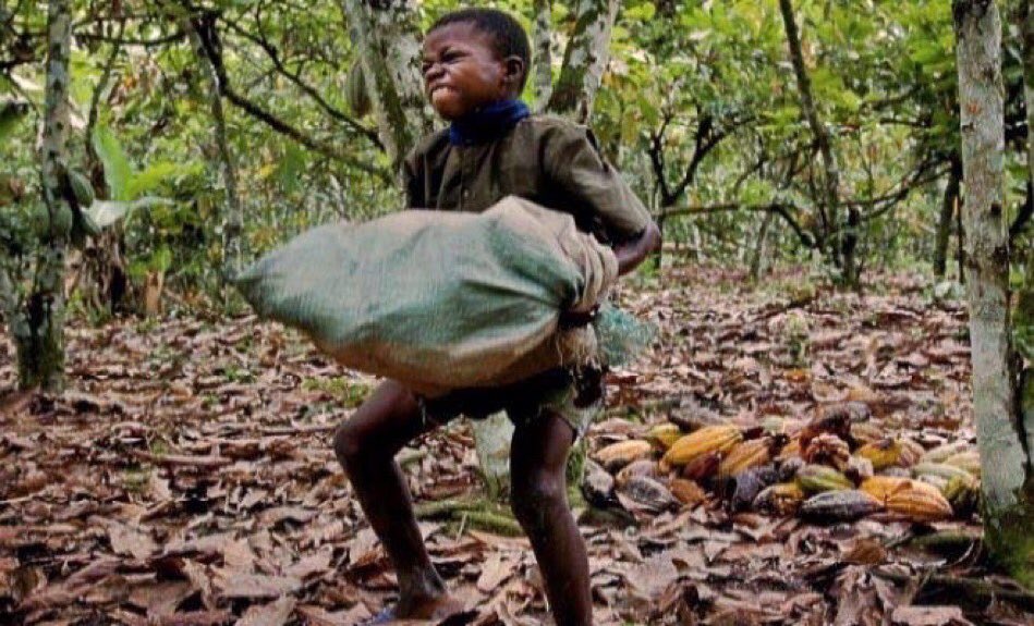 Some people just mumu, the time wen u suppose use think about ur life

U dey pray for other person down fall

person wen u know say even if him fall him go still dey higher then u 😭🤣