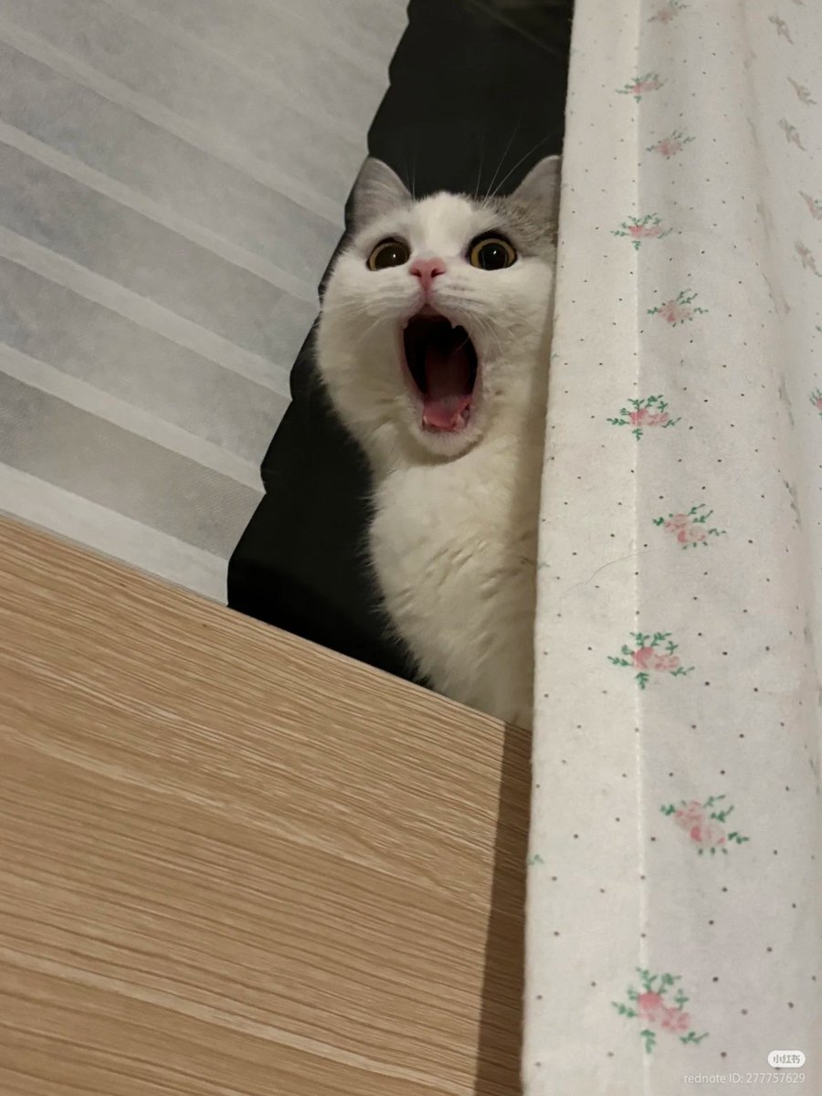 😲