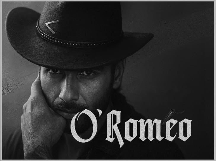 O Romeo कैसी लगी आपको?

में देखने का मन बना रहा हूँ तो सोचा आप से पूछ लू कैसी लगी आपको मूवी?

#ShahidKapoor #ORomeoReview #ORomeo #ORomeoMovie