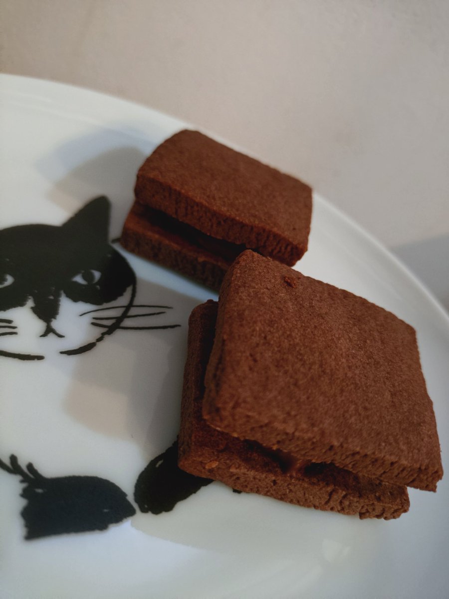 ⚠晶くん自作ぬいです

「今年のバレンタインのチョコ🍫です」