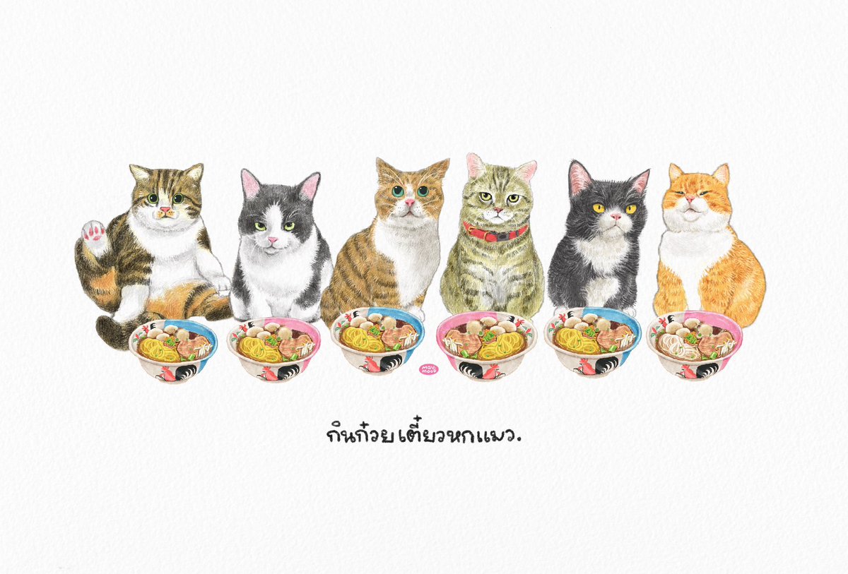 กินก๋วยเตี๋ยวหกแมว