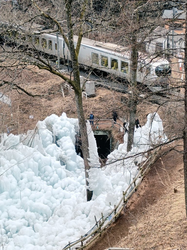あしがくぼの氷柱を見に来たよ。甘酒おいしい。電車も徐行してくれる。車内の人みんなこっち見てる。