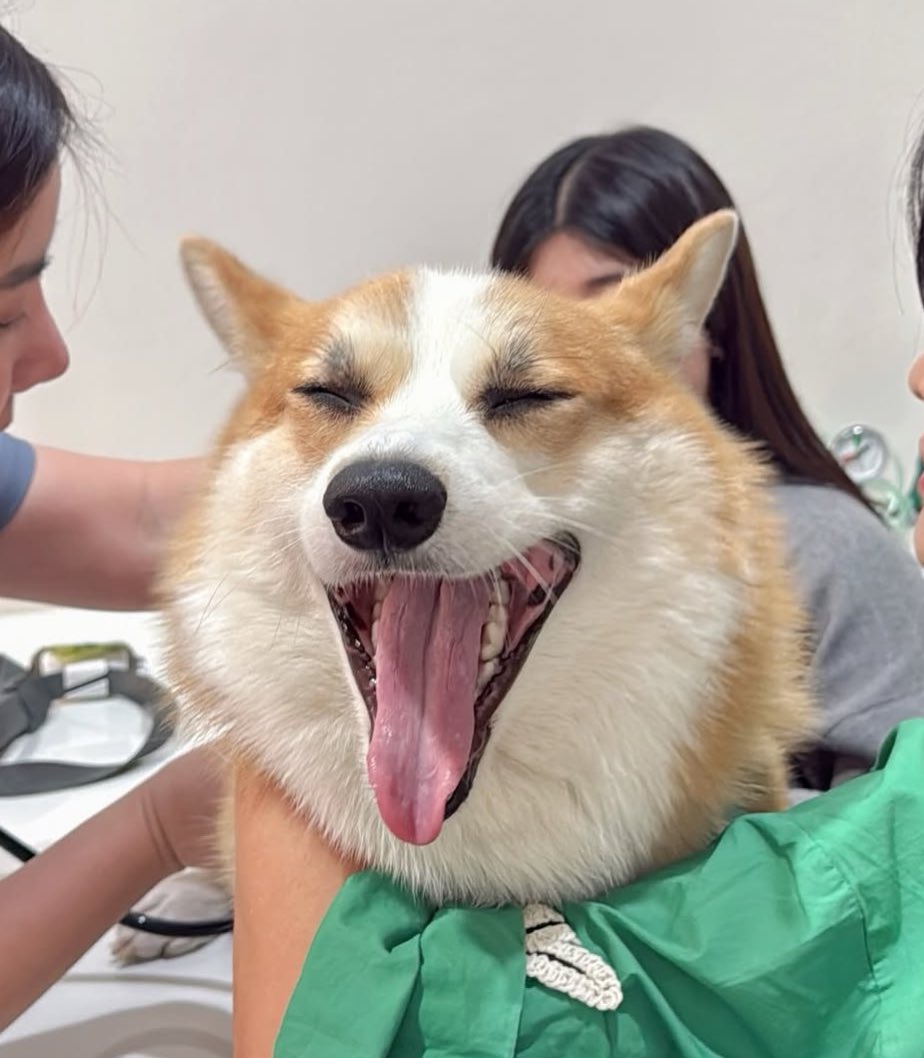 _ppookpick's tweet image. ไทยเต็มเหมือนกันเป๊ะ