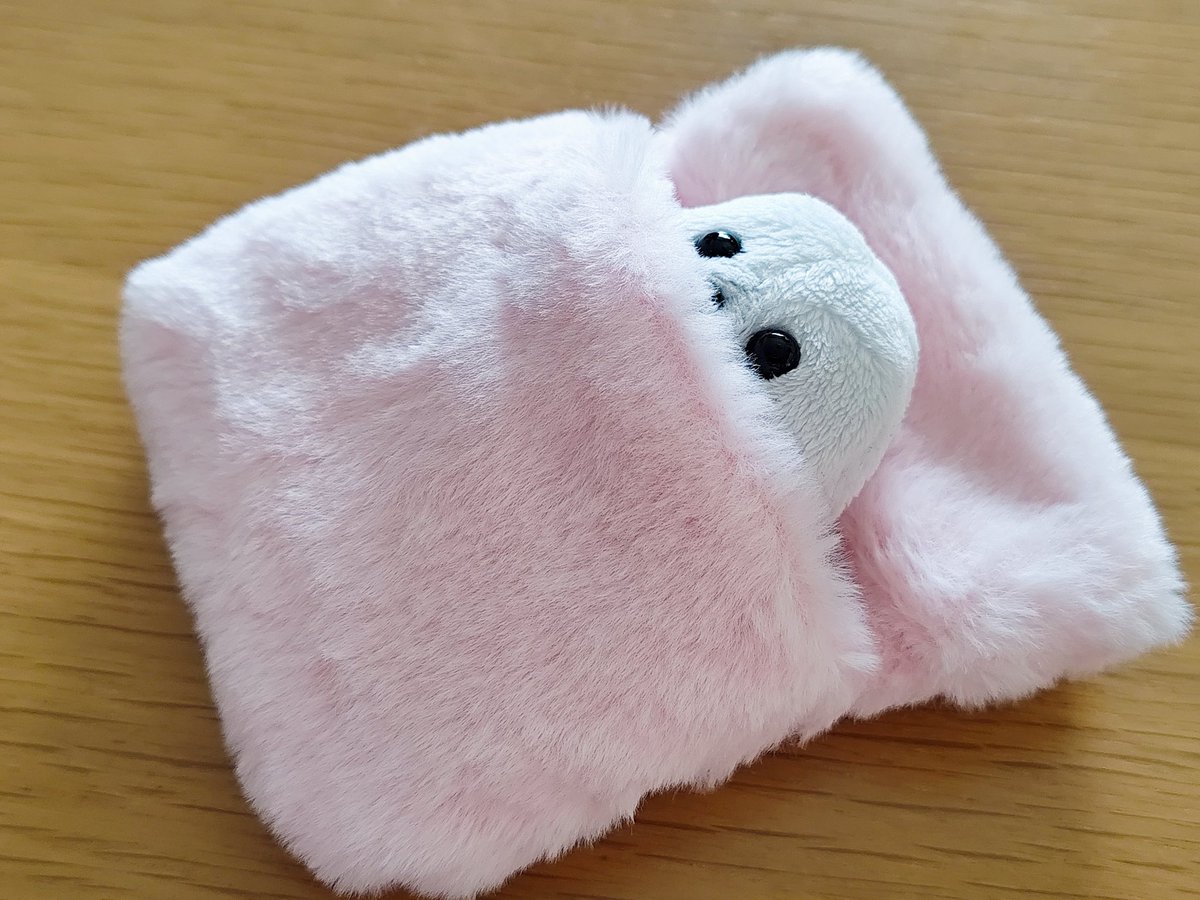 クッキー作ってたら「一旦寝かせる」という工程があったので、一応自分も寝てみるちまき