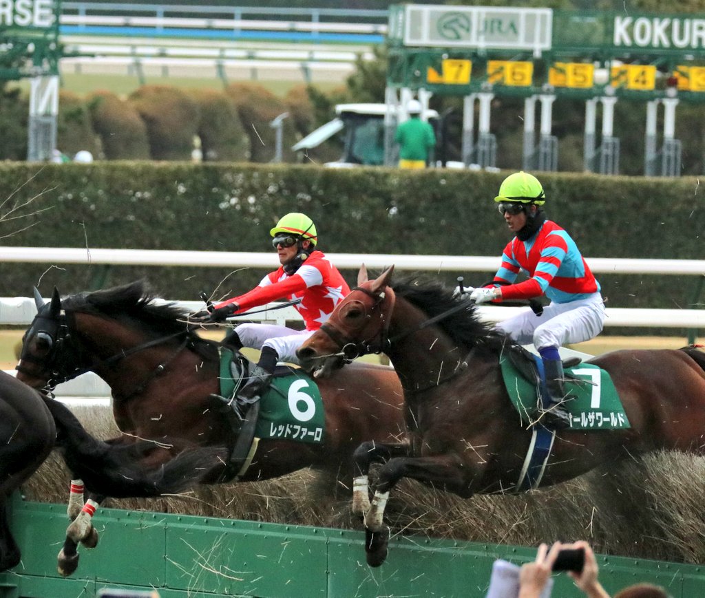 4着でした 掲示板確保 でも最終飛越の時の体勢とか こんなんやったやろ
