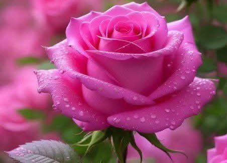 𝓝 𝓢αʅιԋҽҽɳ🙃 tweet media