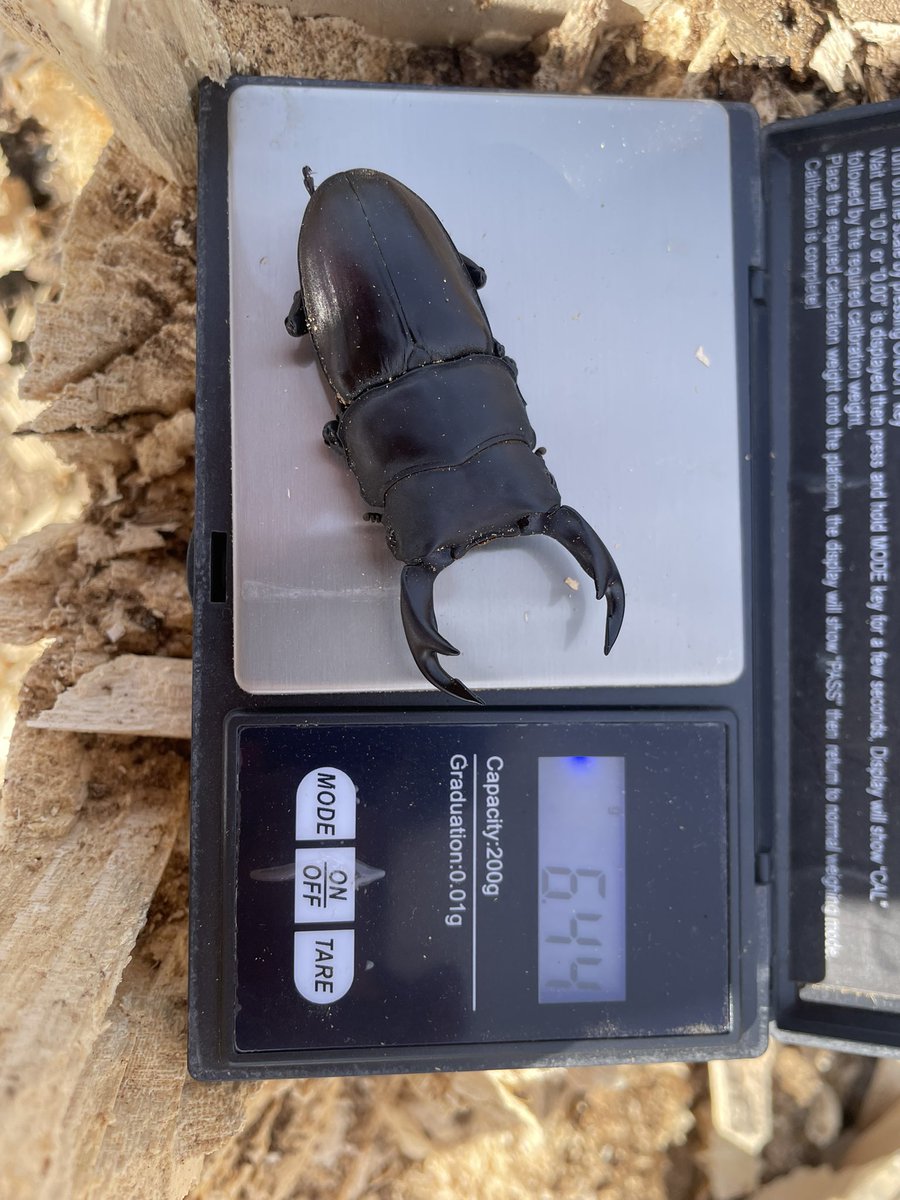 ノギス忘れた💧