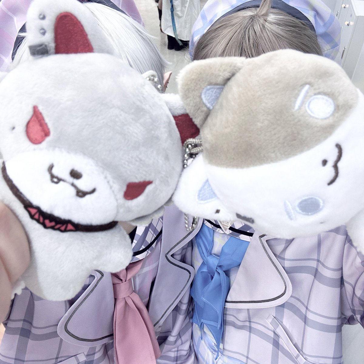 __pu__pu's tweet photo. たうん https://t.co/cNm3vEDb8E