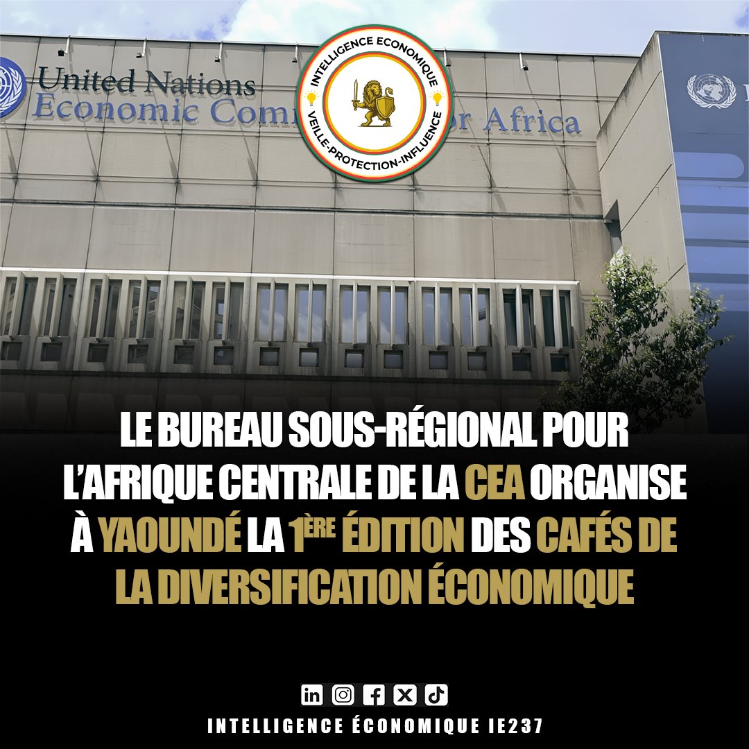 Intelligence Économique | IE237 tweet media