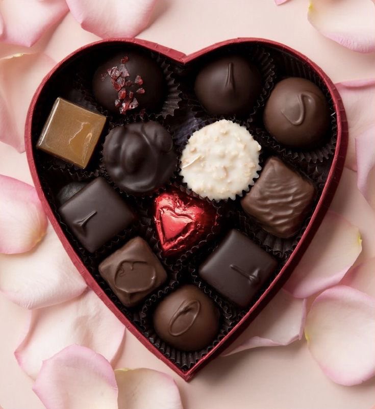 Casa Verde tweet media