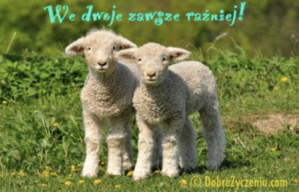 ks. Marek Jan Pytko (@marekjanpytko) on Twitter photo 